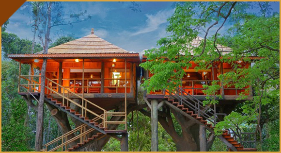 Alleppey Tour Package